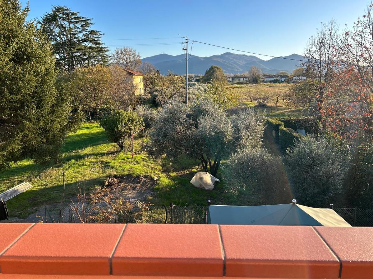 Albi'S House,Terrazza ,Wi-Fi, Parcheggio, Ac Apartment Lucca Luaran gambar