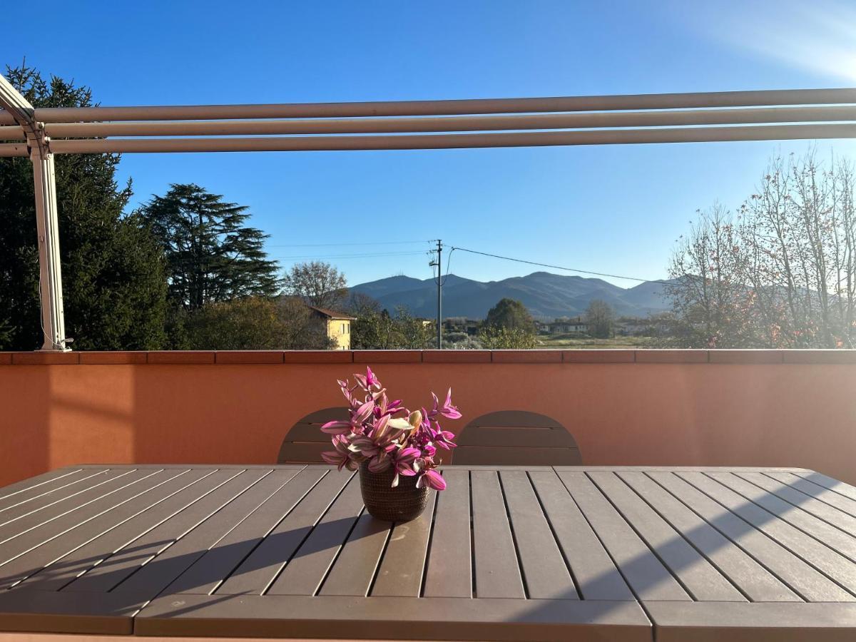 Albi'S House,Terrazza ,Wi-Fi, Parcheggio, Ac Apartment Lucca Luaran gambar