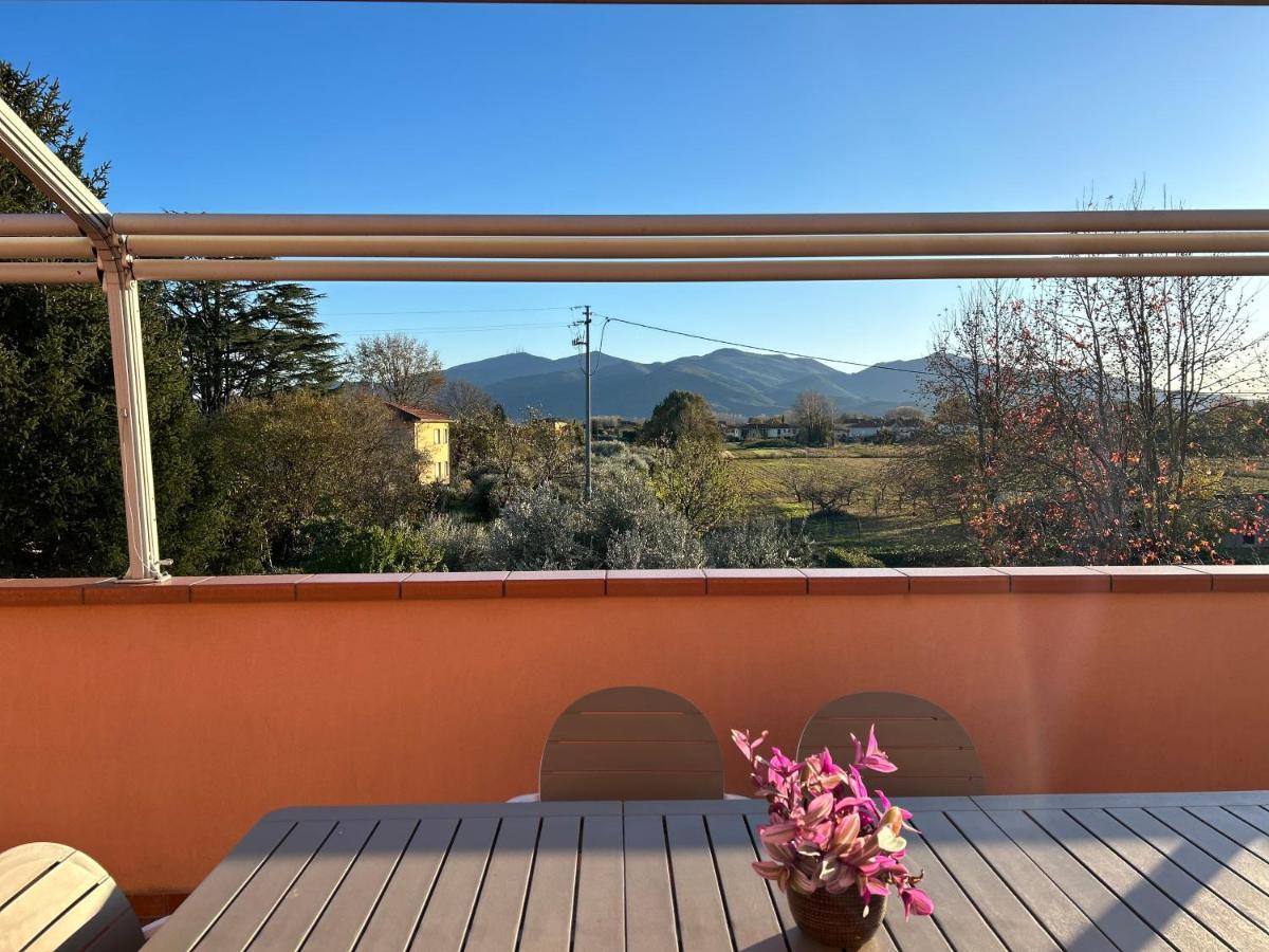 Albi'S House,Terrazza ,Wi-Fi, Parcheggio, Ac Apartment Lucca Luaran gambar