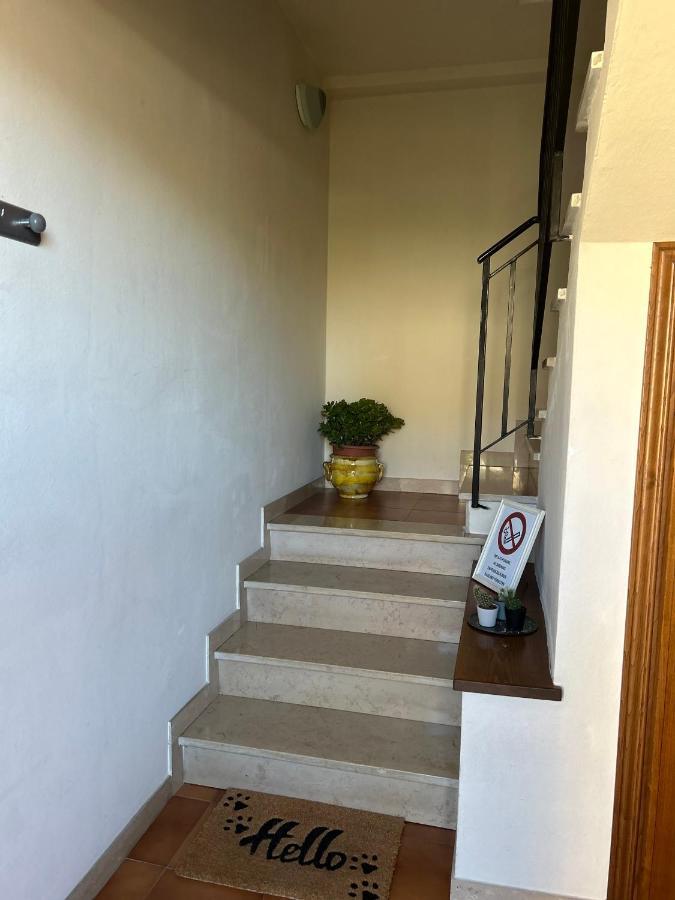 Albi'S House,Terrazza ,Wi-Fi, Parcheggio, Ac Apartment Lucca Luaran gambar